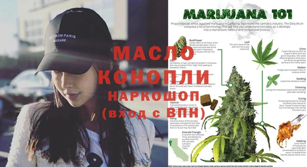 амф Дмитров