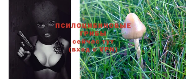 амф Дмитров