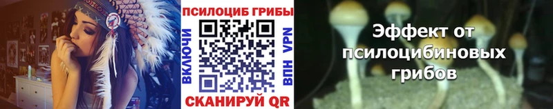 Купить закладки Топки Галлюциногенные грибы Magic Shrooms